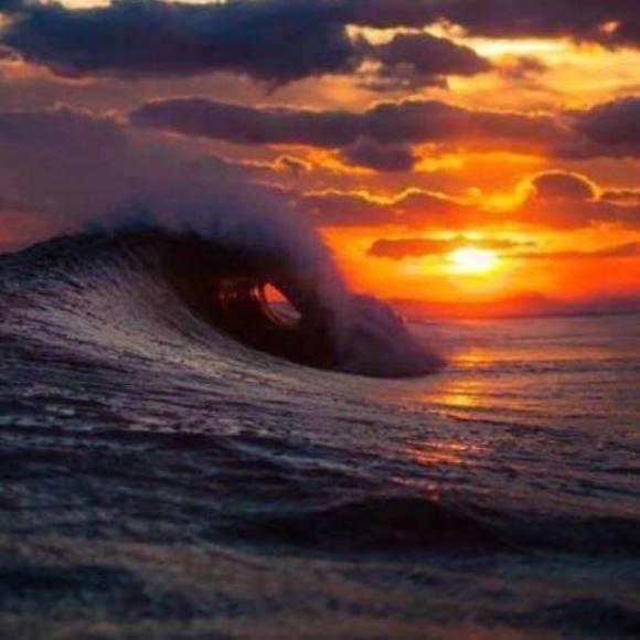 Meet your Posher, Joanna - Picture 1 of 1